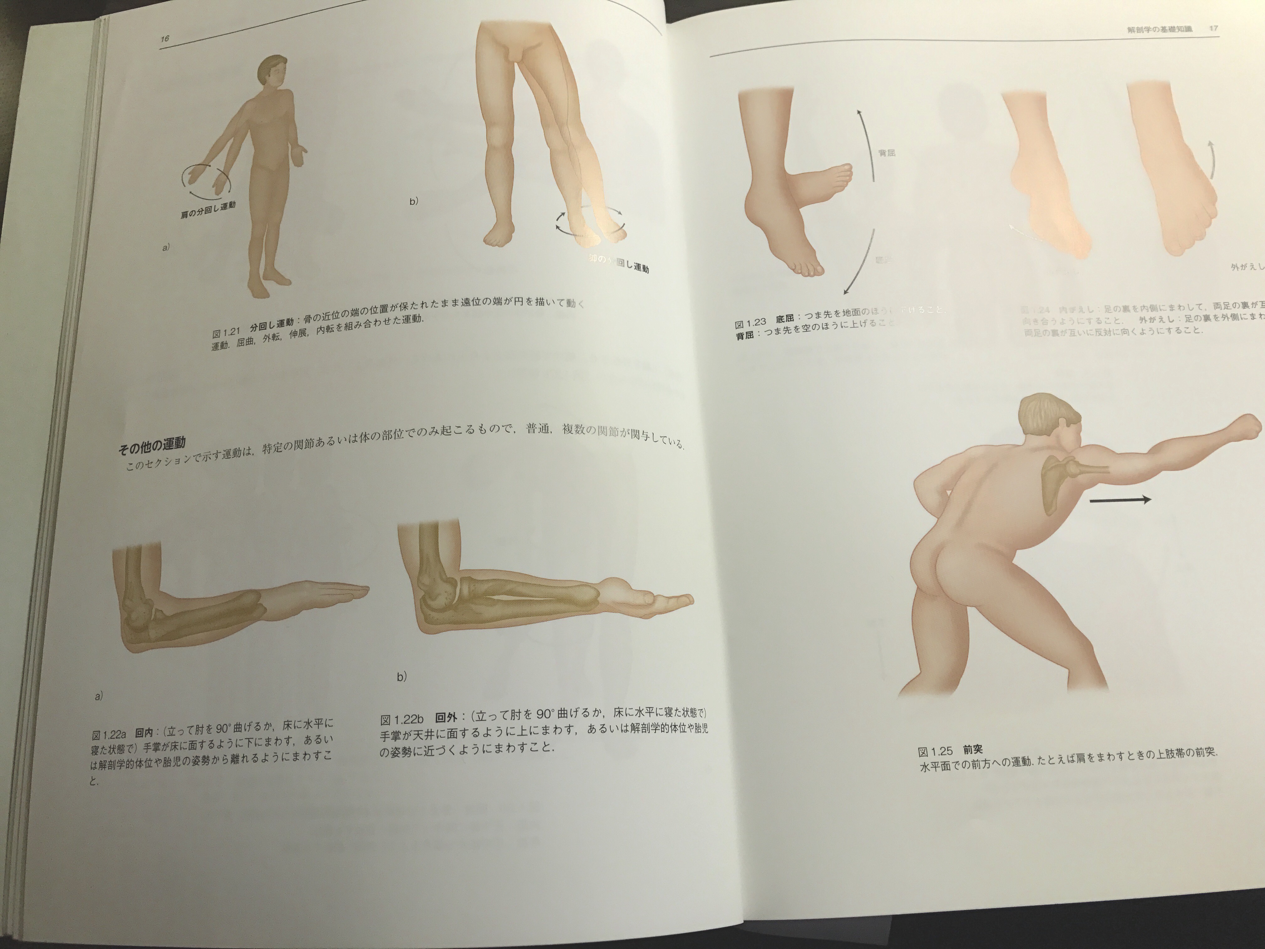 オススメ本】「ムービングボディ 動きとつながりの解剖学」：クリス 