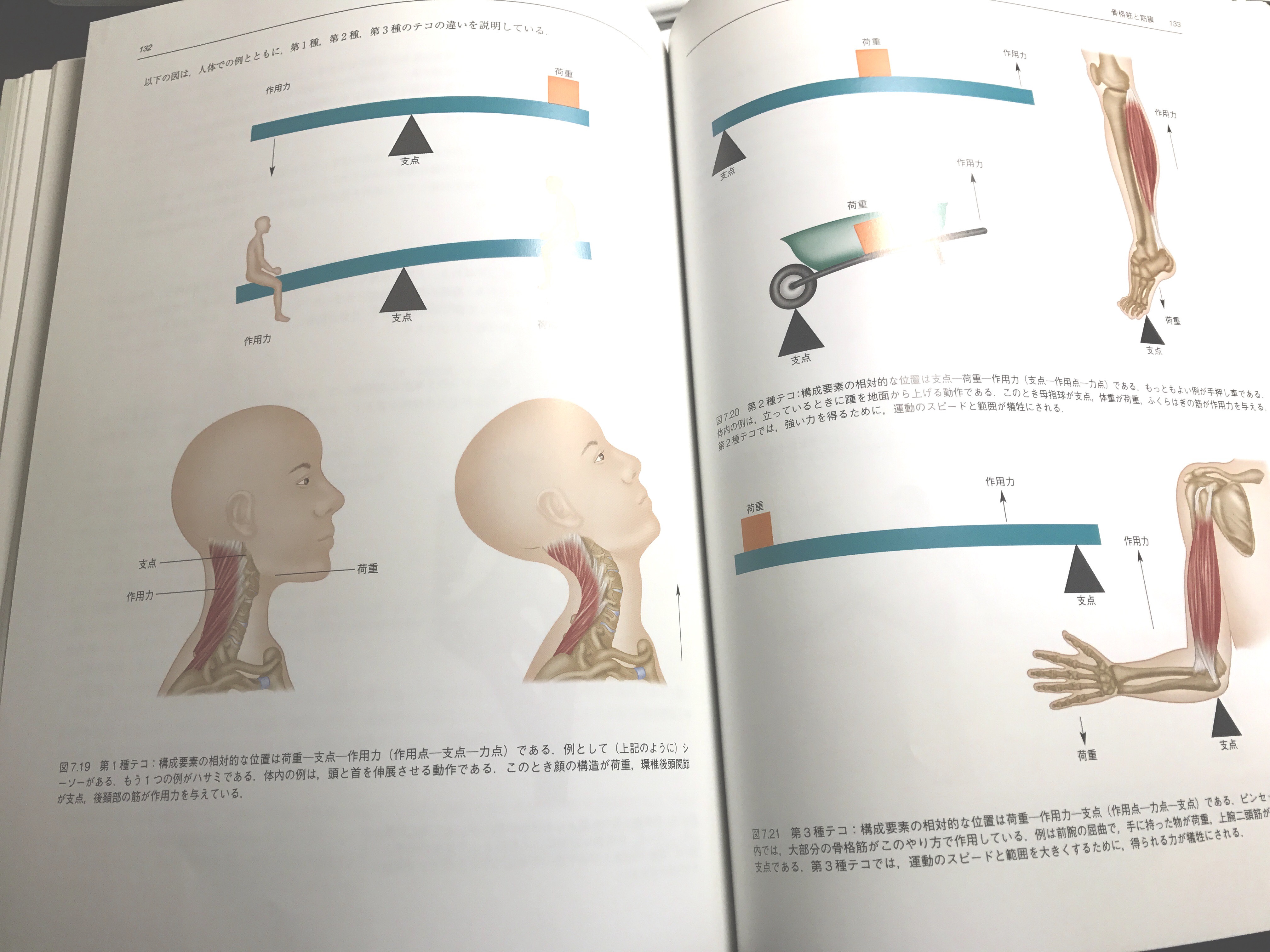 オススメ本】「ムービングボディ 動きとつながりの解剖学」：クリス 